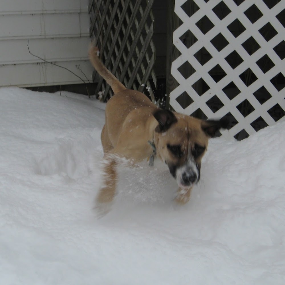 Meet your Posher, Angela